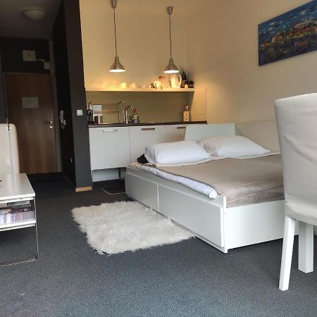 Studio Apartment "Iris" Ptuj Extérieur photo