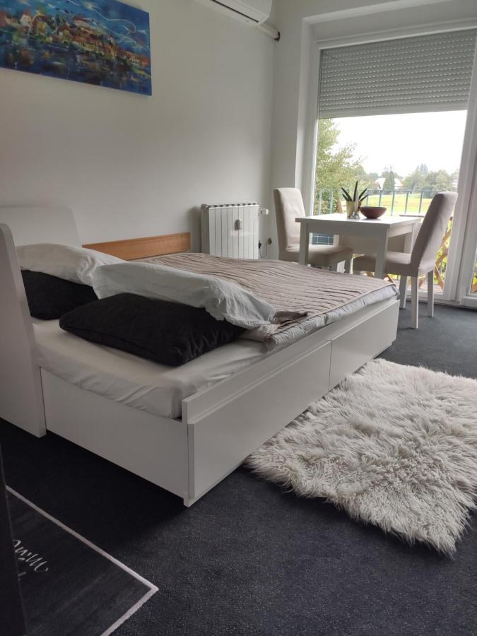 Studio Apartment "Iris" Ptuj Extérieur photo